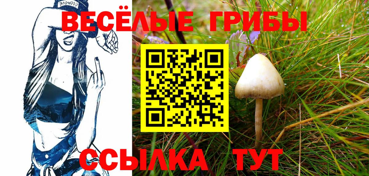 Псилоцибиновые грибы прущие грибы  Вход с VPN  Шелехов 